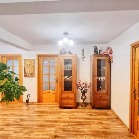 Pensiune Casa Otilia -