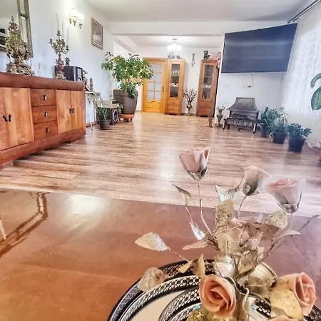 Casa Otilia -