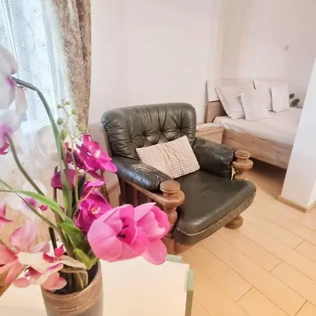 Casa Otilia - Pensjonat Tuzla