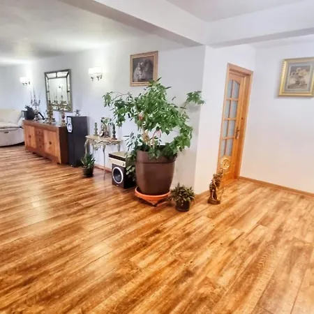 Casa Otilia -