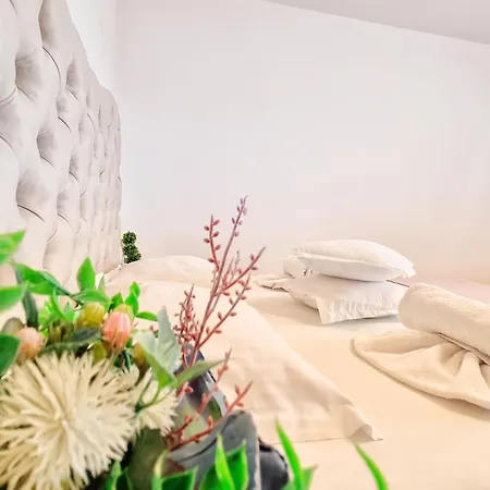 Pensión Casa Otilia - Tuzla