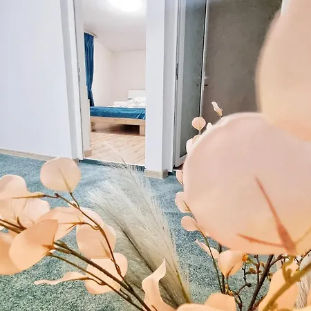 Pensiune Casa Otilia - *