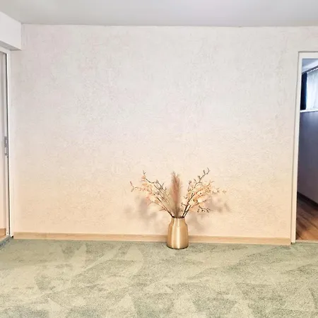 Casa Otilia - 4* Tuzla
