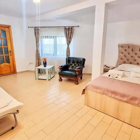 Pensiune Casa Otilia - *
