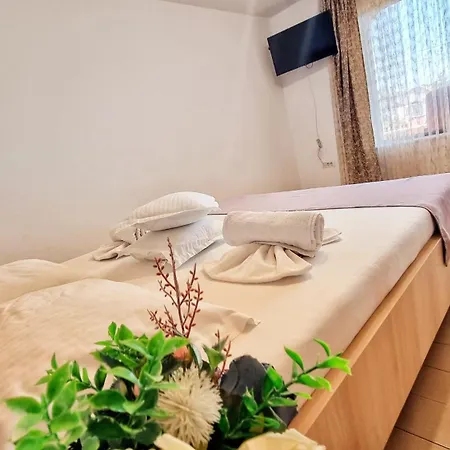 Casa Otilia - Pensión Tuzla