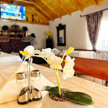 Casa Otilia - 4*