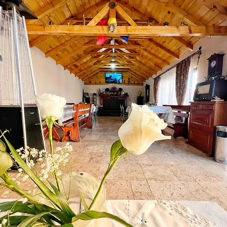 Vendégház Casa Otilia - Tuzla